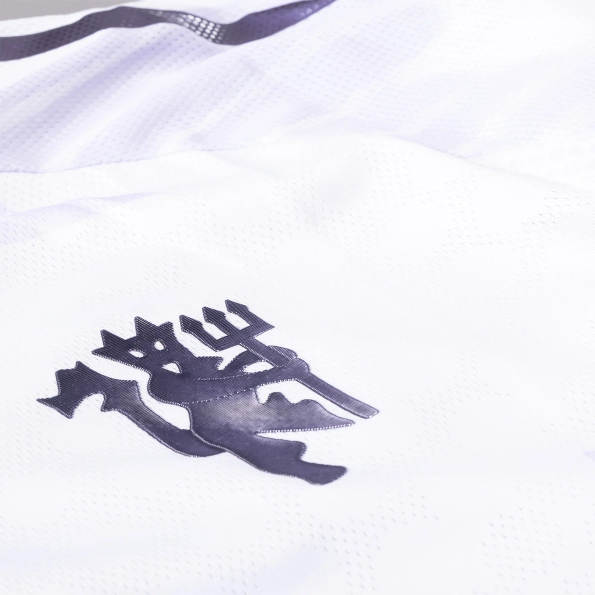 MANCHESTER United 25/26 Away Jersey